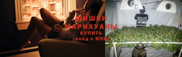 ПСИЛОЦИБИНОВЫЕ ГРИБЫ Михайловка