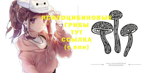 ПСИЛОЦИБИНОВЫЕ ГРИБЫ Михайловка