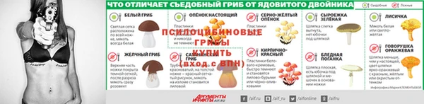 спиды Михайловск