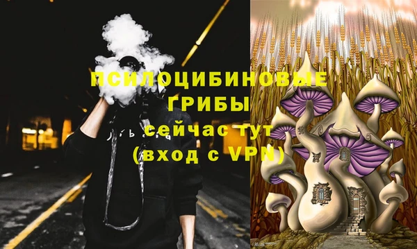 ПСИЛОЦИБИНОВЫЕ ГРИБЫ Михайловка