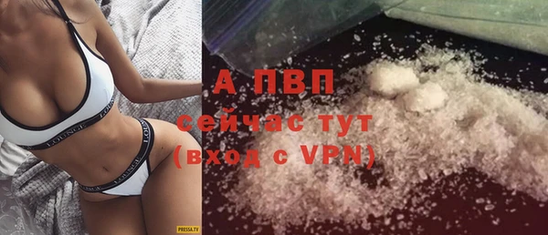 спиды Михайловск
