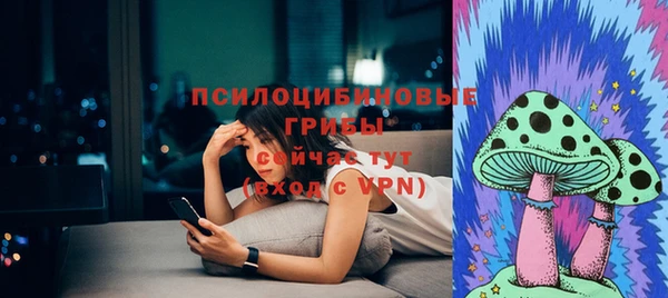 ешки Михайлов