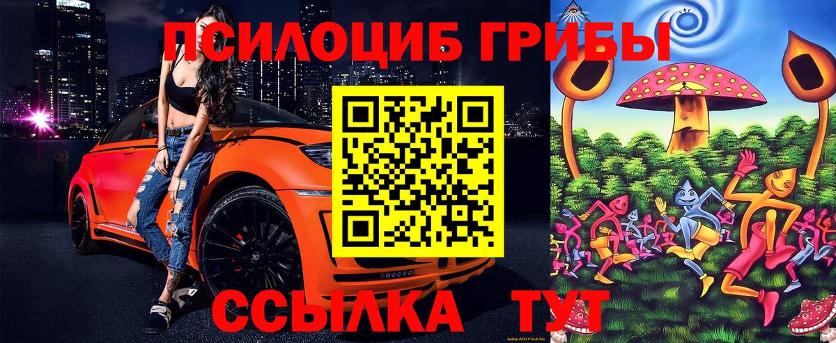 Галлюциногенные грибы прущие грибы Пенза