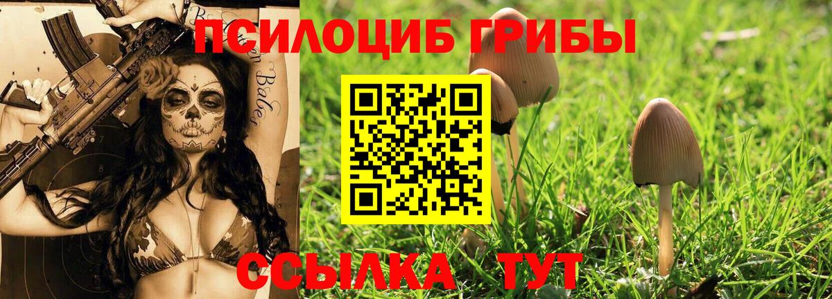 Псилоцибиновые грибы MAGIC MUSHROOMS  Пенза 