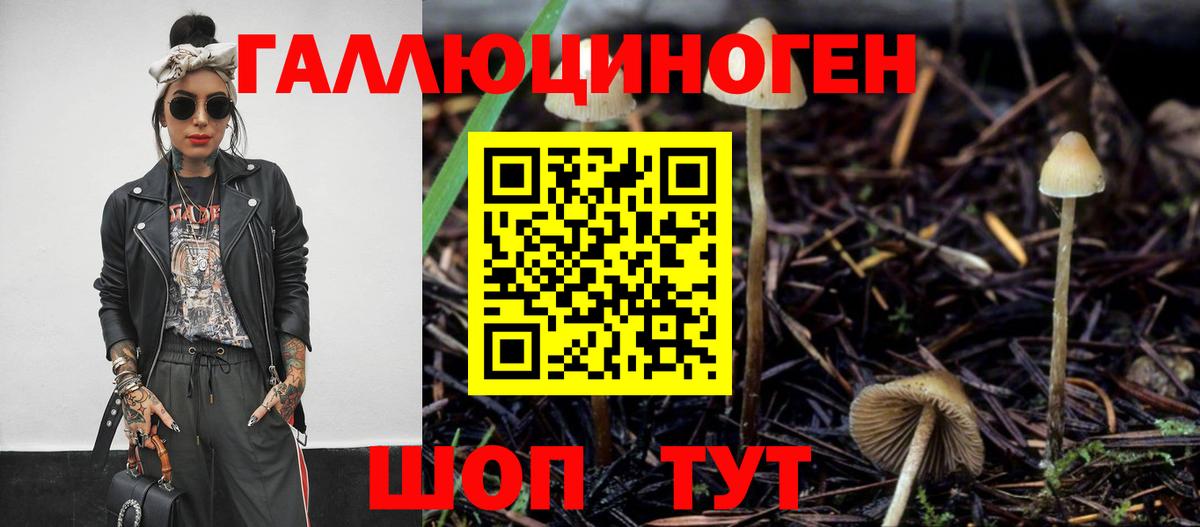 Пенза  Псилоцибиновые грибы мухоморы  где продают наркотики  Вход с VPN 