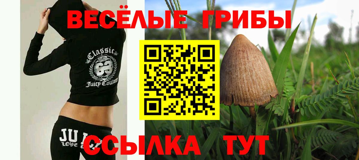 Галлюциногенные грибы мицелий Пенза